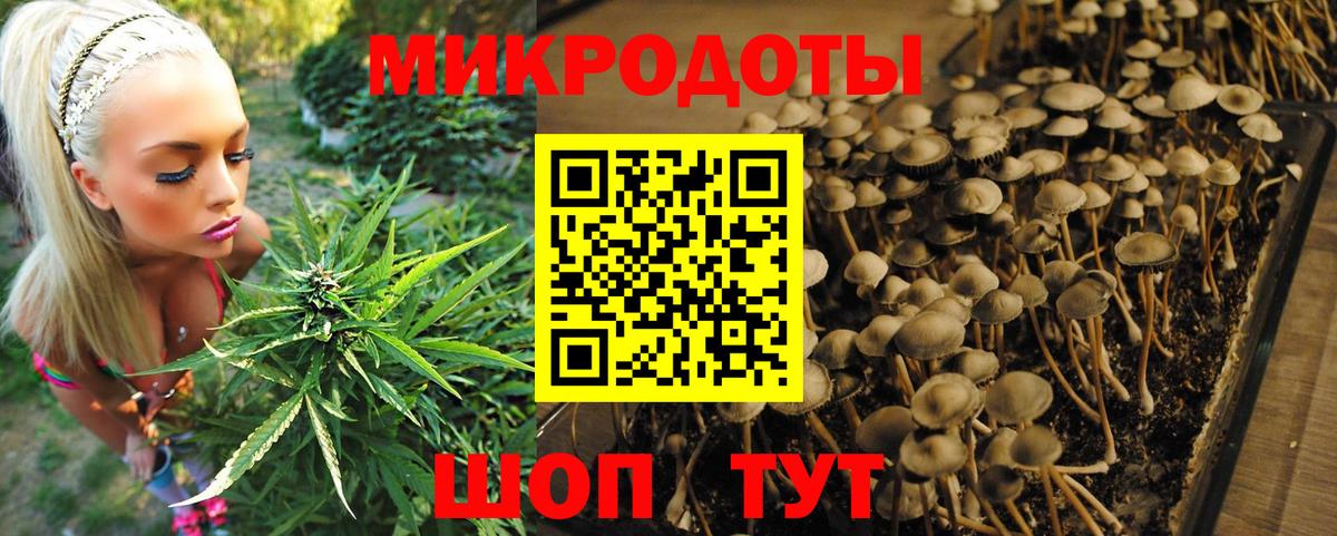 Галлюциногенные грибы Psilocybine cubensis  Вход с VPN  Арзамас  Галлюциногенные грибы ЛСД 